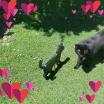 Felicity Jackson - @felicity.jackson.712 - Instagram