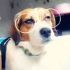 felicitykramer7 - @felicitykramer70 - TikTok