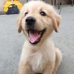 Felicity Long - @felicitydragon - Instagram