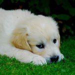 Felicity Longfield - @felicity_longfield - Instagram