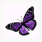 Felicity McCarthy - Facebook