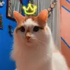 felicitymichaels2 - @felicitymichaels2 - TikTok