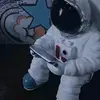 felicity.mitchell - @felicity.mitchell3 - TikTok