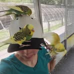 Felicity Murray - Facebook
