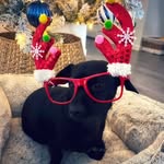 Felicity Page-Spiller - @popeyethescrapper26 - Instagram
