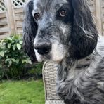 Felicity Pearson - Facebook