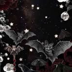 Felicity Pasowicz - Facebook