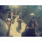 Felicity Schultz - Facebook