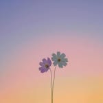 Felicity Stark - @felicitystark681 - Instagram