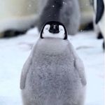 Felicity Wang - @felicity.wang.581 - Instagram