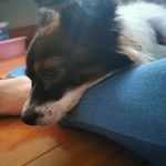 Felicity Wang - @felicity.wang.7568 - Instagram