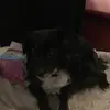 Felicity waters - @felicity.waters - TikTok