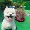 felicityweaver51049 - @felicityweaver51049 - TikTok