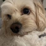 Felicity Webb - Facebook