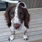 Felicity Wiggins - @wiggins_felicity - Instagram