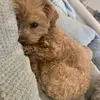 user2955828004603 - @felicitywinters4whh1y - TikTok
