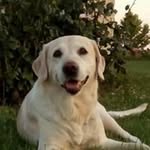 Felipa Sanchez Crespo - @felipasanchezcrespo - Instagram