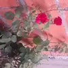 Felipa Solis - @felipasolis205 - TikTok