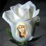Felipa Solis Lazaro - @felipasolis - Instagram