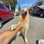 Felipe Marin - @felipe_aaronn - Instagram