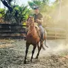 Felipe Rebolledo Ala - @feliperebolledoalarcon - TikTok