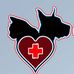 Dr. Felipe Alves Gonçalves Veterinário - Facebook