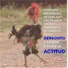 Felipe Arteaga - @philiparteaga - TikTok