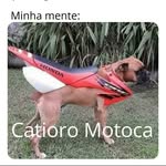 Felipe Arruda Calixto - @felipe_calixto - Instagram