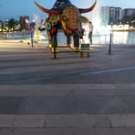 Felipe Canche - Facebook