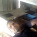 Felipe Cedeño - Facebook