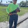 felipecedeno431 - @felipecedeno431 - TikTok