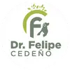 Veterinario /  Felipe Cedeño - @drfelipecedeno - TikTok