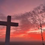 Felipe Collazo Longoria - @felipecollazolongoria - Instagram