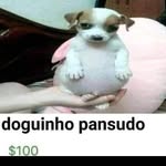 Felipe - @felipe_.cooper - Instagram