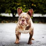 Felipe Corredor - @felipe.corredor - Instagram