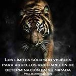 Felipe Cosio - @felipe.cosio_ - Instagram