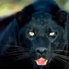 Felipe Crespo - @felipe.crespo29 - TikTok