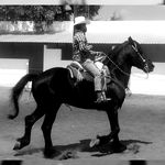 Felipe Cuenca Salazar - @cuenca__felipe - Instagram