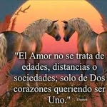 felipe diosdado Rodríguez - @diosdado_felipe - Instagram