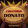 Felipe Donato - @felipe.donato7 - TikTok