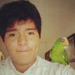 Felipe Estrella - @felipeestrellar - Instagram