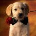 Felipe Gallegos - Facebook