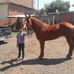 Felipe Gamez - Facebook