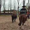 felipe - @felipegaray12 - TikTok