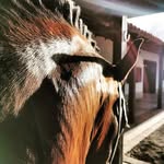 Felipe Granada - @pipe.granada_ - Instagram