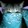 Felipe Hill - @felipehill - TikTok