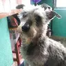 felipe jasso - @felipe01020304 - TikTok