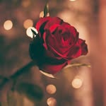 Felipe Jauregui - @felipejauregui77 - Instagram