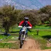 Felipe Jensen - @felipe.jensen - TikTok