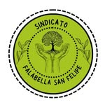 sindicato Falabella San Felipe - @sindicatofalabella_sanfelipe - Instagram